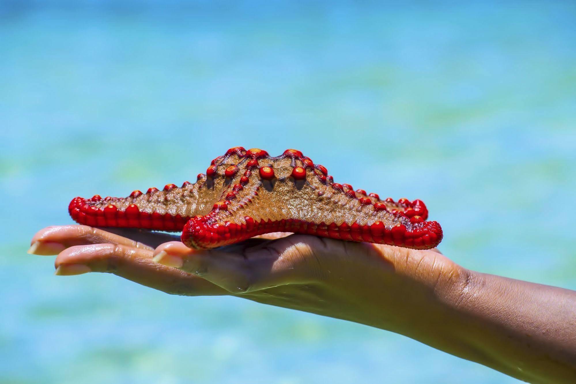 Mombasa Beach Hotel Dış mekan fotoğraf